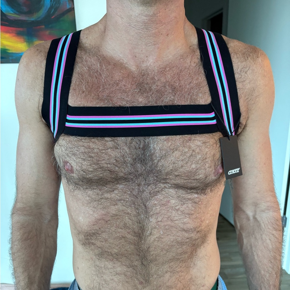 NWT - COYOTY Harness size L